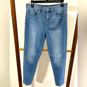 Articles of Society High Waisted Skinny Blue Jeans Size 29